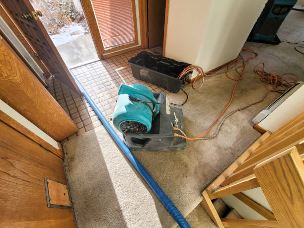 Best Water damage cleanup near me  in Mastic Beach, NY