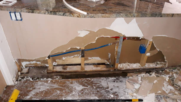Best Professional water damage repair  in Mastic Beach, NY