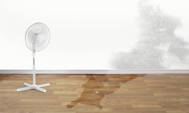 Mastic Beach, NY Water damage restoration Company