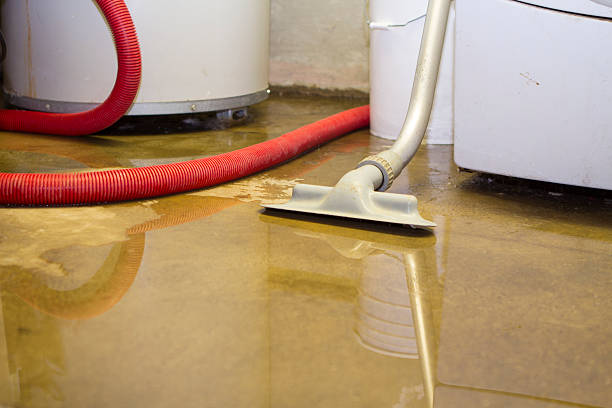 Best Flood restoration services  in Mastic Beach, NY