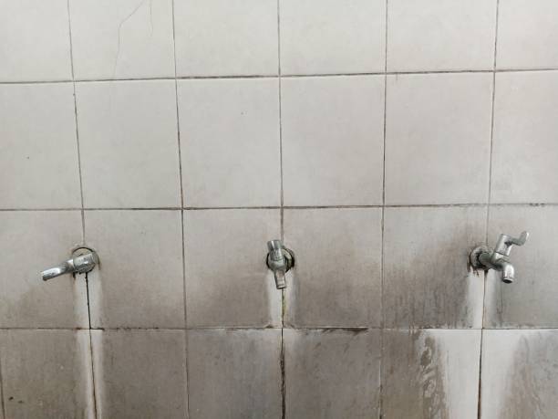 Best Water damage restoration near me  in Mastic Beach, NY