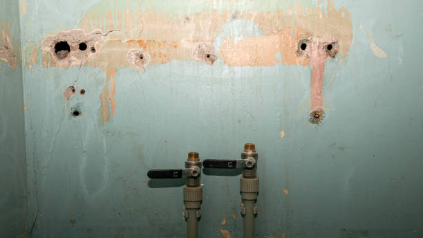 Best Sewage cleanup and water damage restoration  in Mastic Beach, NY