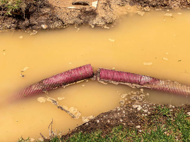 Best Basement water damage restoration  in Mastic Beach, NY