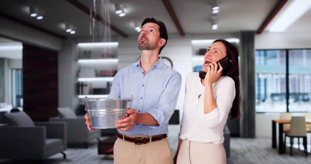 Best 24-hour water damage restoration  in Mastic Beach, NY